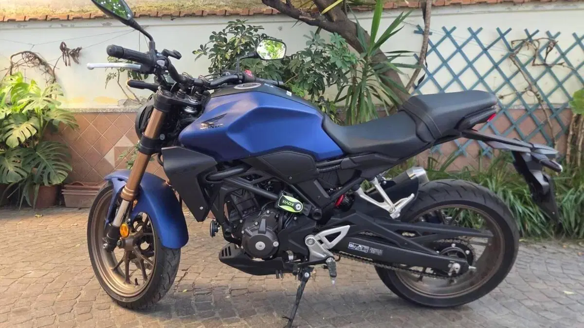 Honda CB 300 R (2022 - 26)  (6)