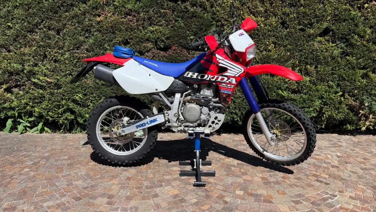 Honda XR 650 R A.E. Dall'Ara  (3)