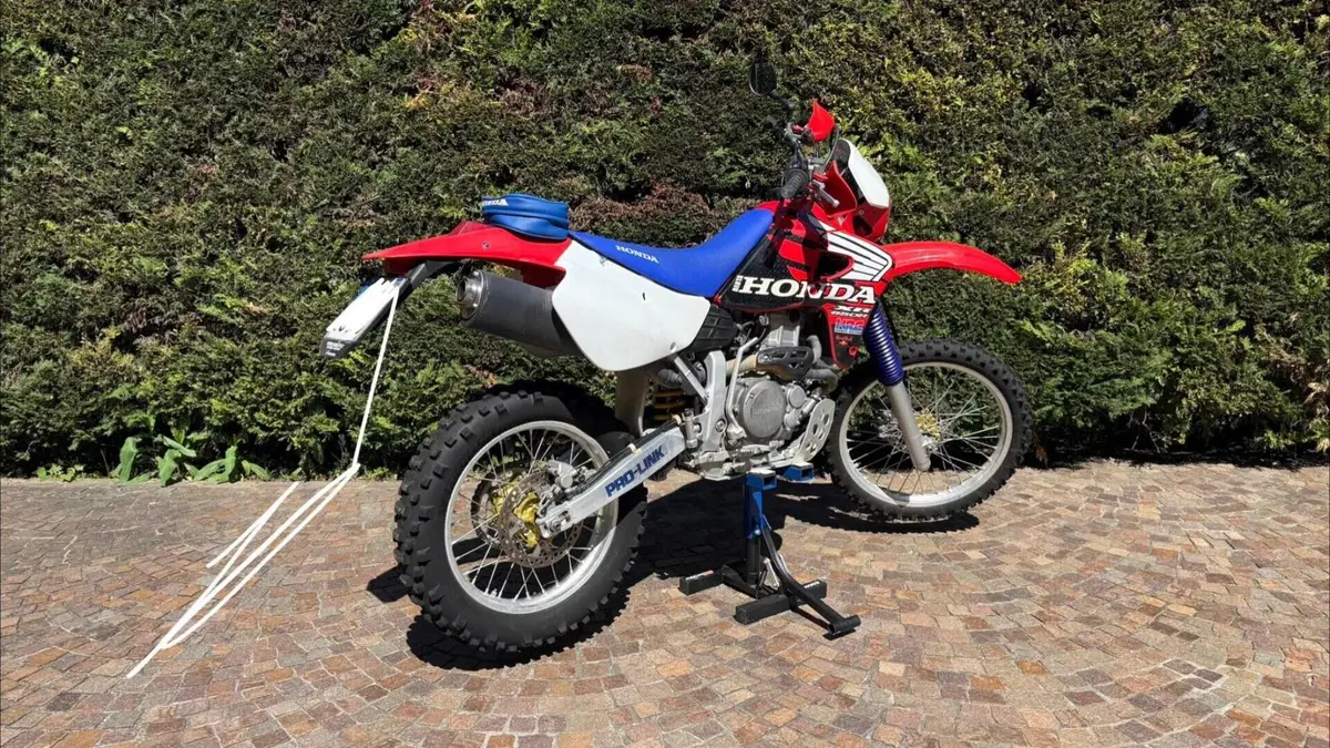 Honda XR 650 R A.E. Dall'Ara  (4)