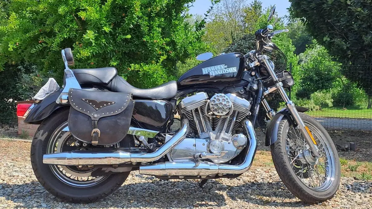 Harley-Davidson 883 (2006 - 07) - XL 