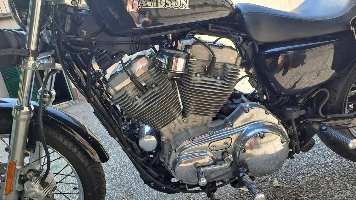 Harley-Davidson 883 (2006 - 07) - XL  (3)