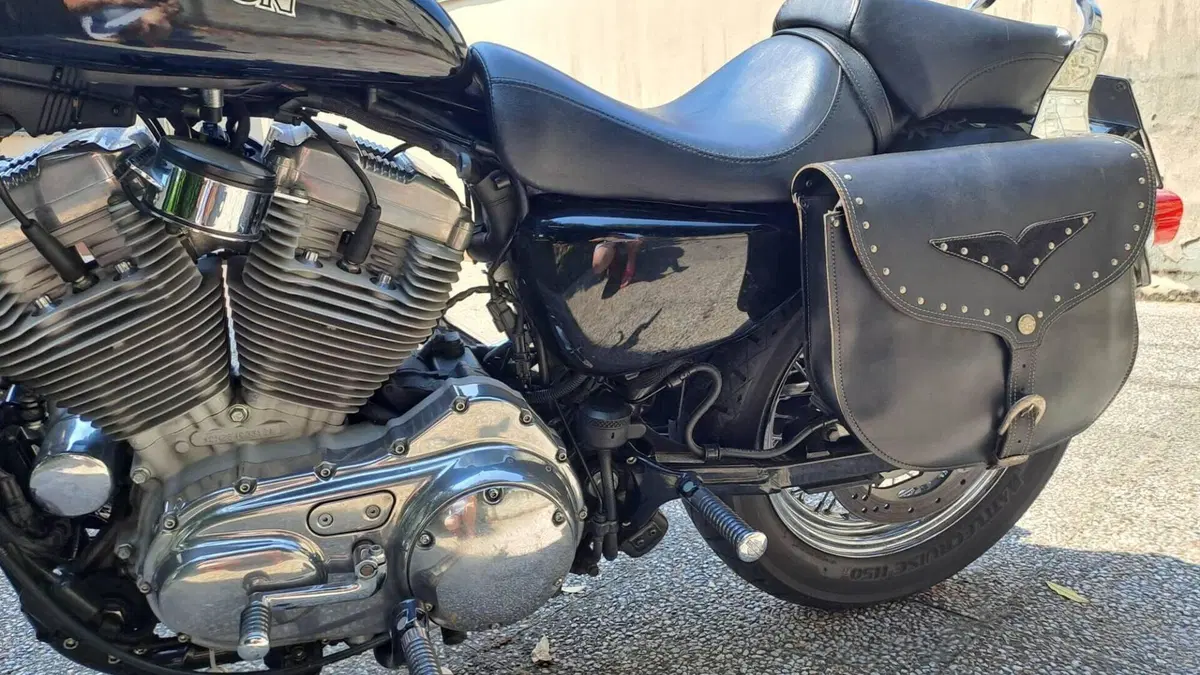 Harley-Davidson 883 (2006 - 07) - XL  (4)