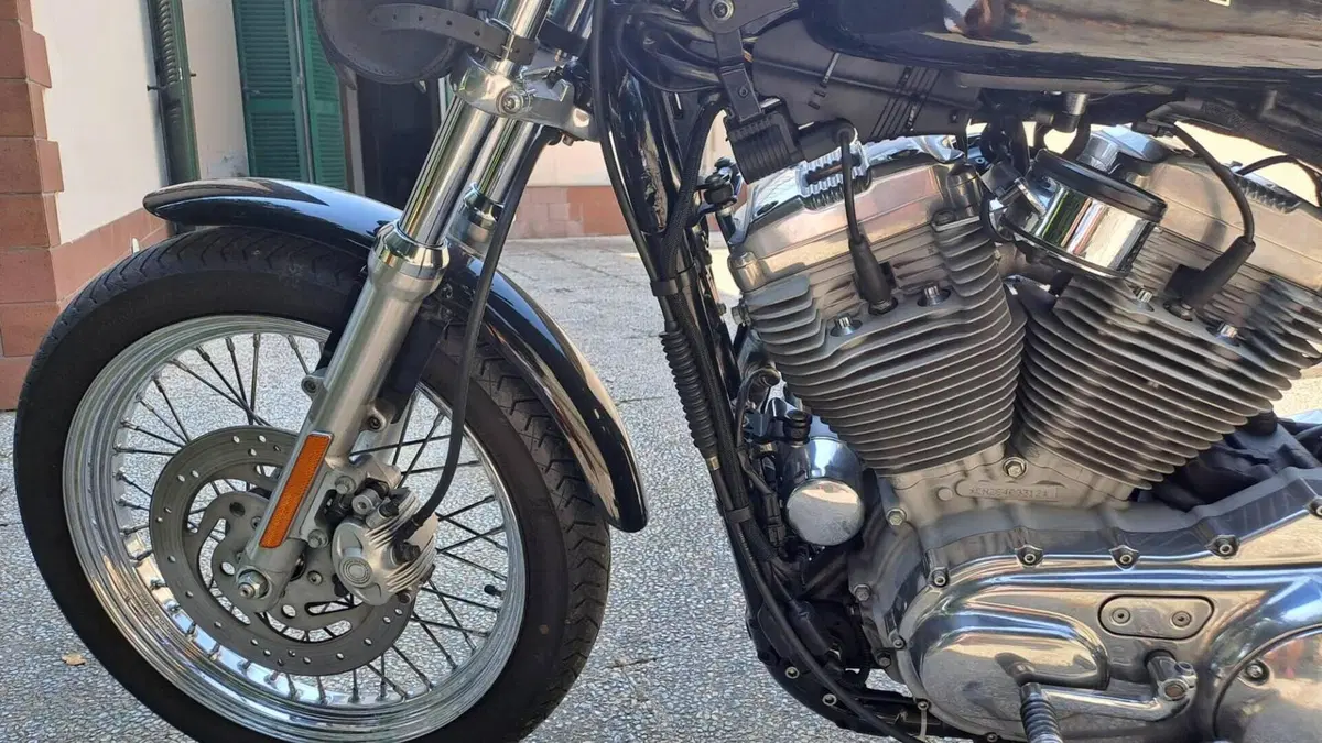 Harley-Davidson 883 (2006 - 07) - XL  (5)