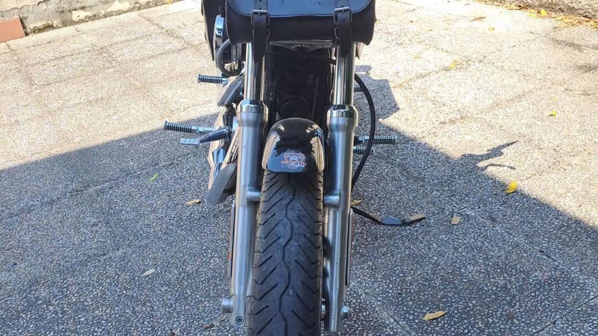 Harley-Davidson 883 (2006 - 07) - XL  (7)
