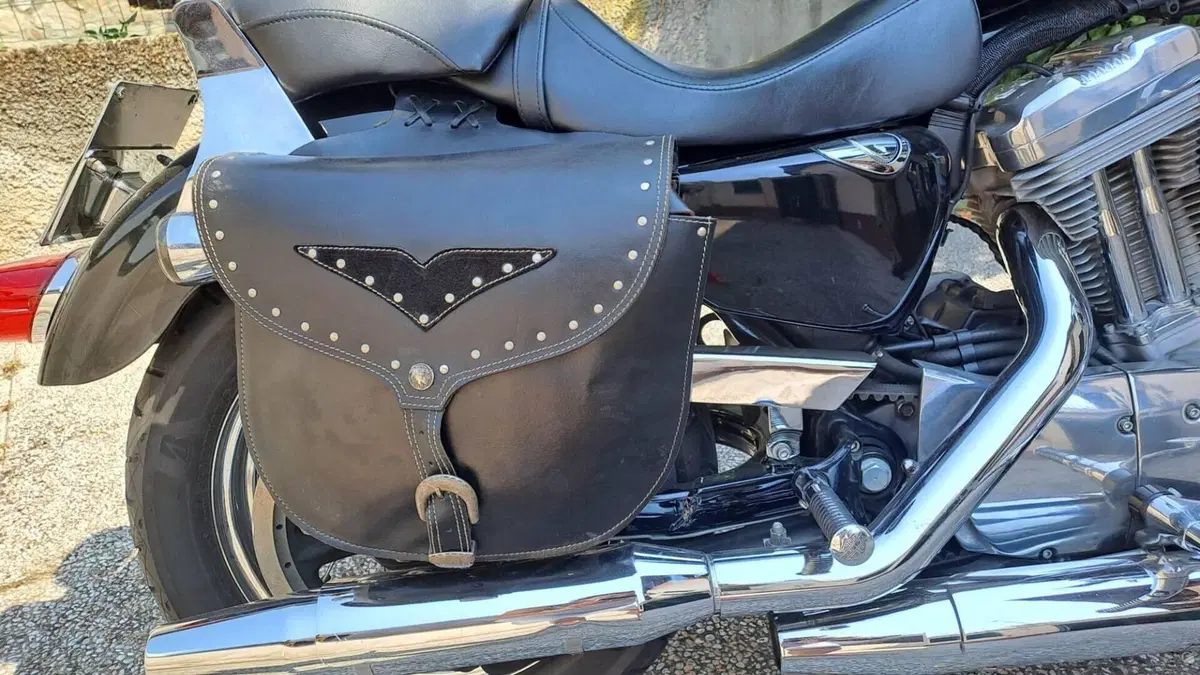Harley-Davidson 883 (2006 - 07) - XL  (9)