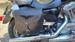 Harley-Davidson 883 (2006 - 07) - XL  (9)