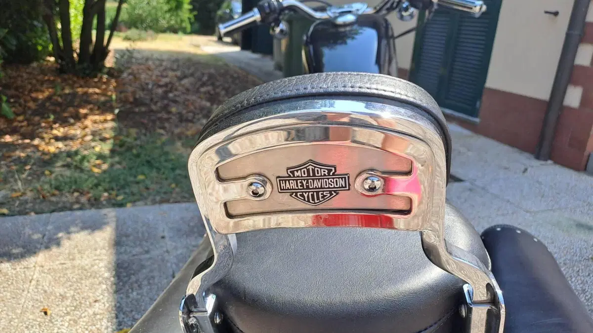 Harley-Davidson 883 (2006 - 07) - XL  (10)