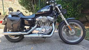 Harley-Davidson 883 (2006 - 07) - XL  (11)