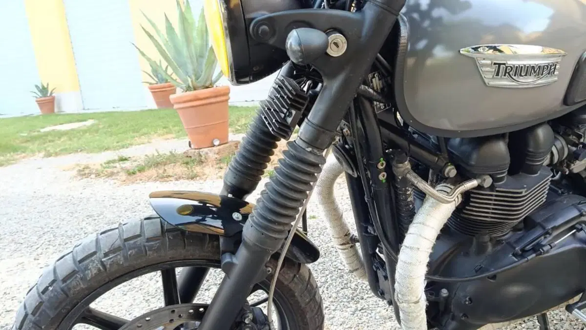 Triumph Bonneville SE (2009 - 13)  (5)