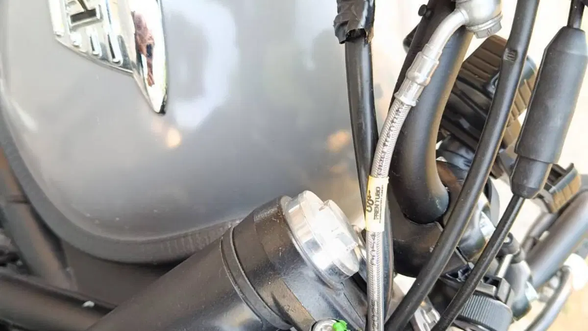 Triumph Bonneville SE (2009 - 13)  (9)