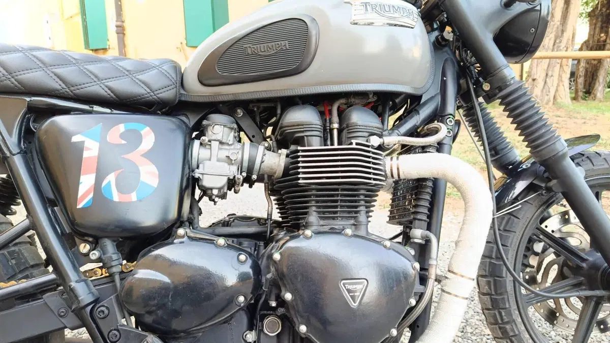 Triumph Bonneville SE (2009 - 13)  (16)