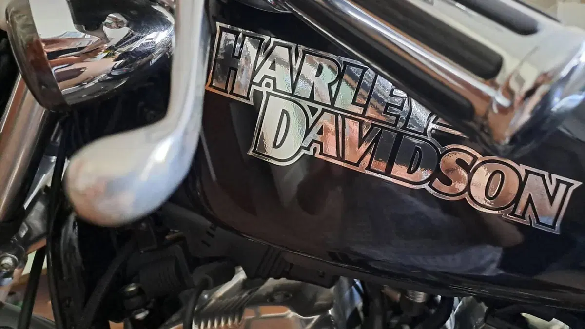 Harley-Davidson 883 (2006 - 07) - XL  (15)