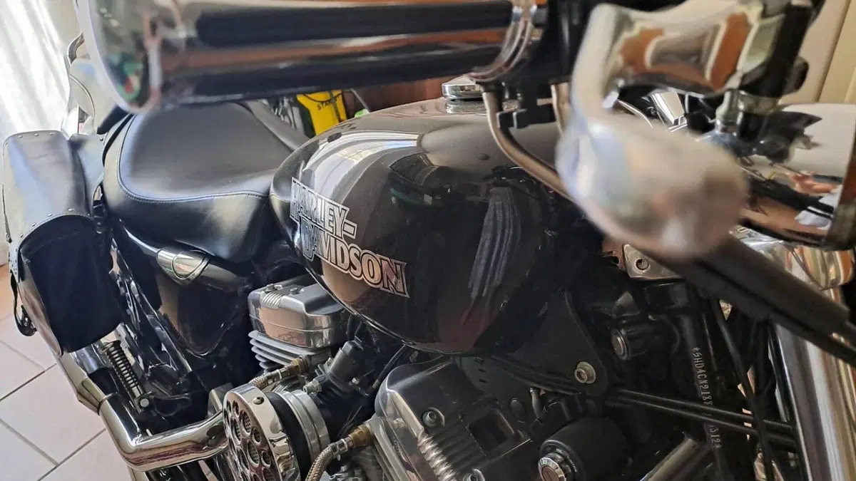 Harley-Davidson 883 (2006 - 07) - XL  (16)