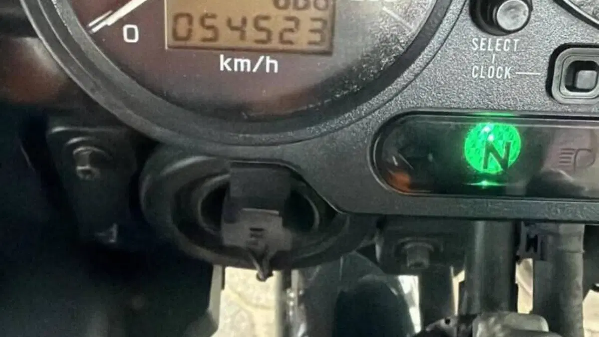 Yamaha   (5)