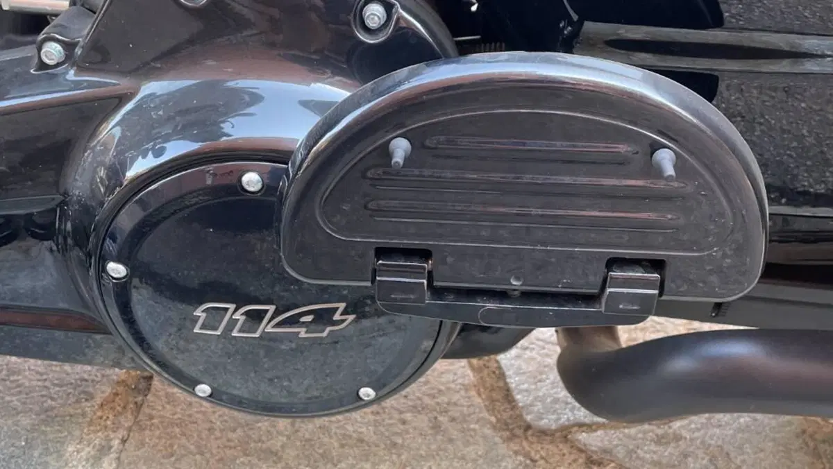 Harley-Davidson Street Glide Special (2021 - 23)  (10)
