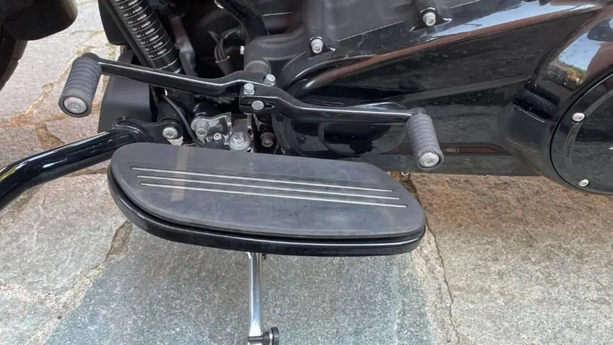 Harley-Davidson Street Glide Special (2021 - 23)  (17)