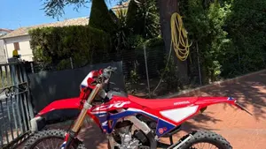 Honda CRF 300RX Enduro (2022)  (2)