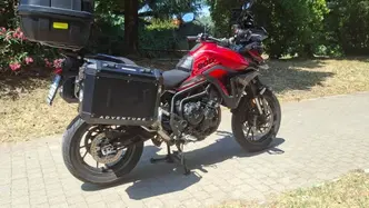 Triumph Tiger 900 GT (2024 - 26) usata