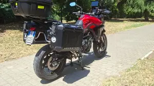 Triumph Tiger 900 GT (2024 - 26)  (7)