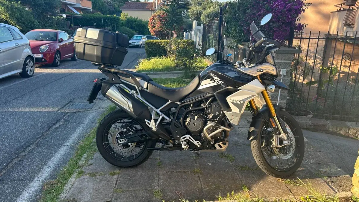 Triumph Tiger 900 Rally Pro (2020 - 23) 