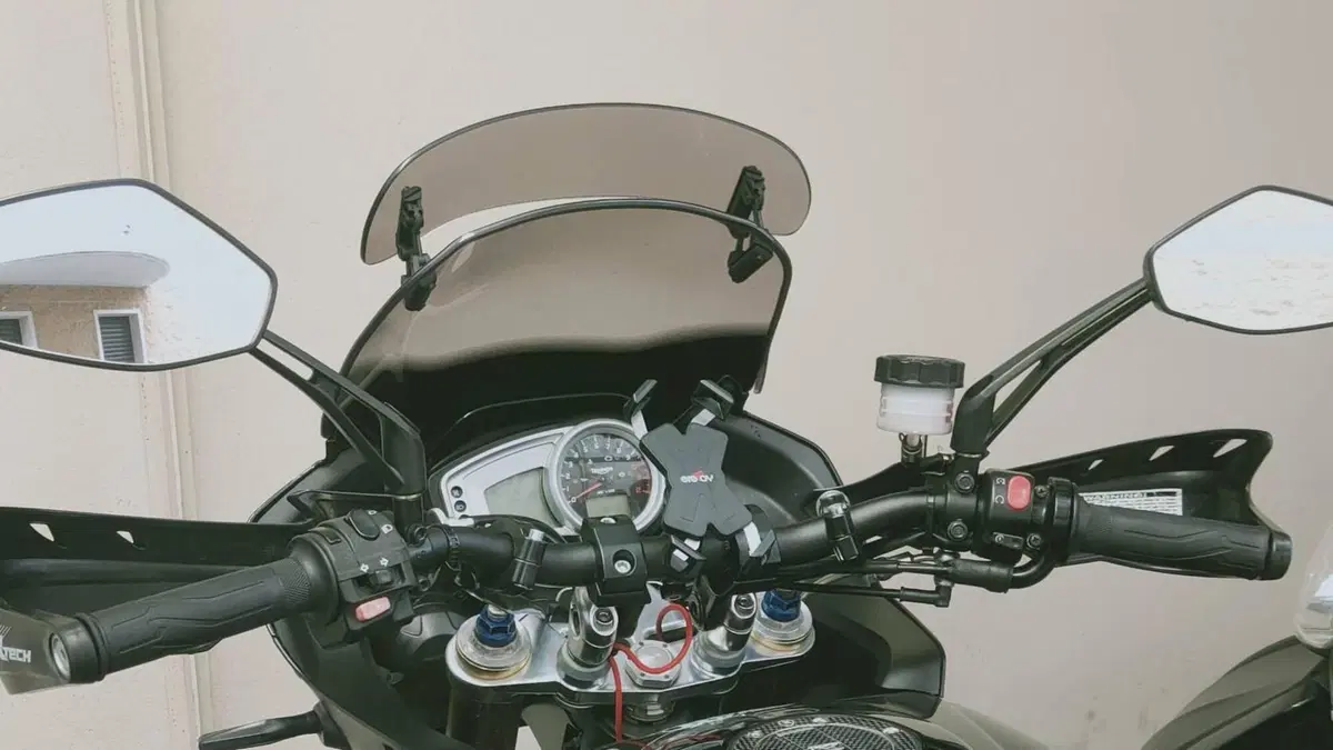 Triumph Tiger 1050 (2006 - 12)  (4)