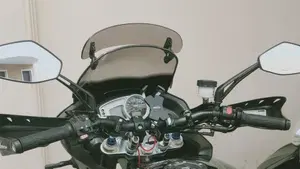 Triumph Tiger 1050 (2006 - 12)  (4)