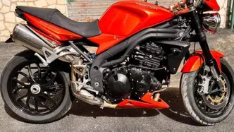 Triumph Speed Triple 1050 (2005 - 11)