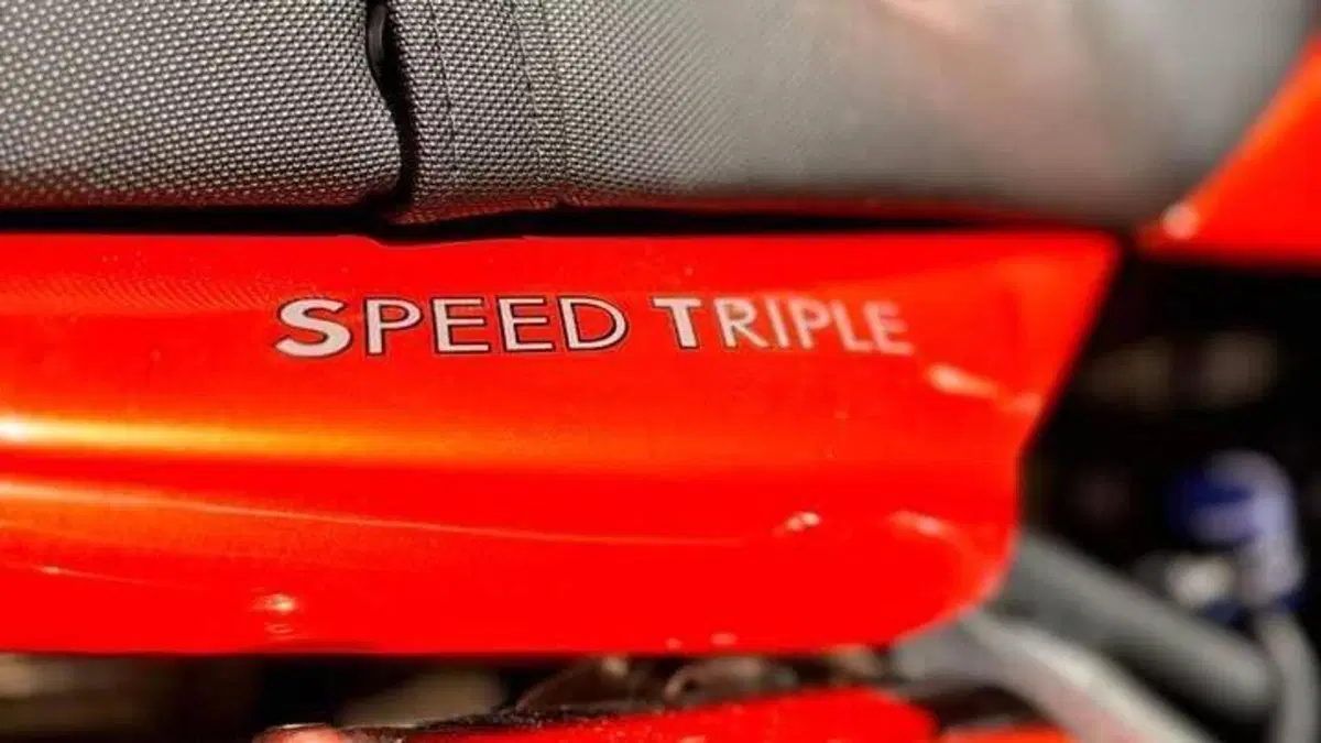 Triumph Speed Triple 1050 (2005 - 11)  (7)
