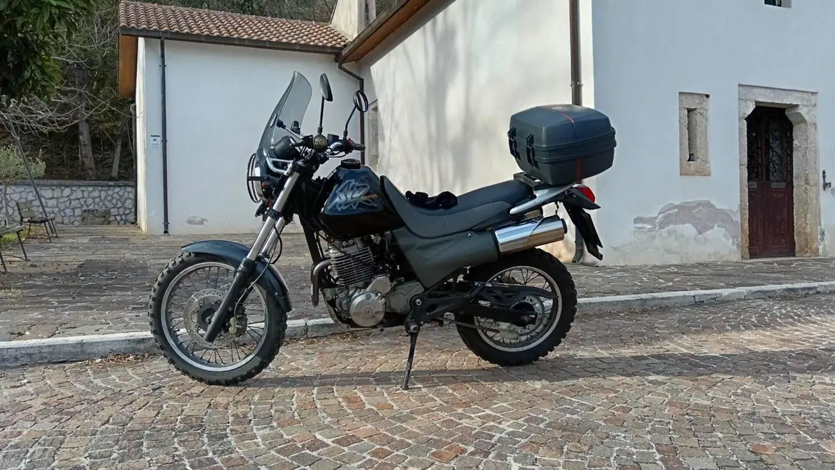 Honda SLR 650  (2)