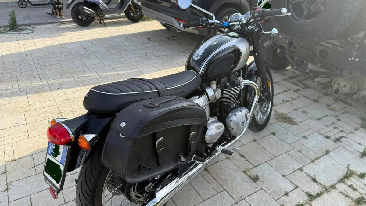 Triumph Bonneville T120 Icon Edition (2025 - 26)  (2)