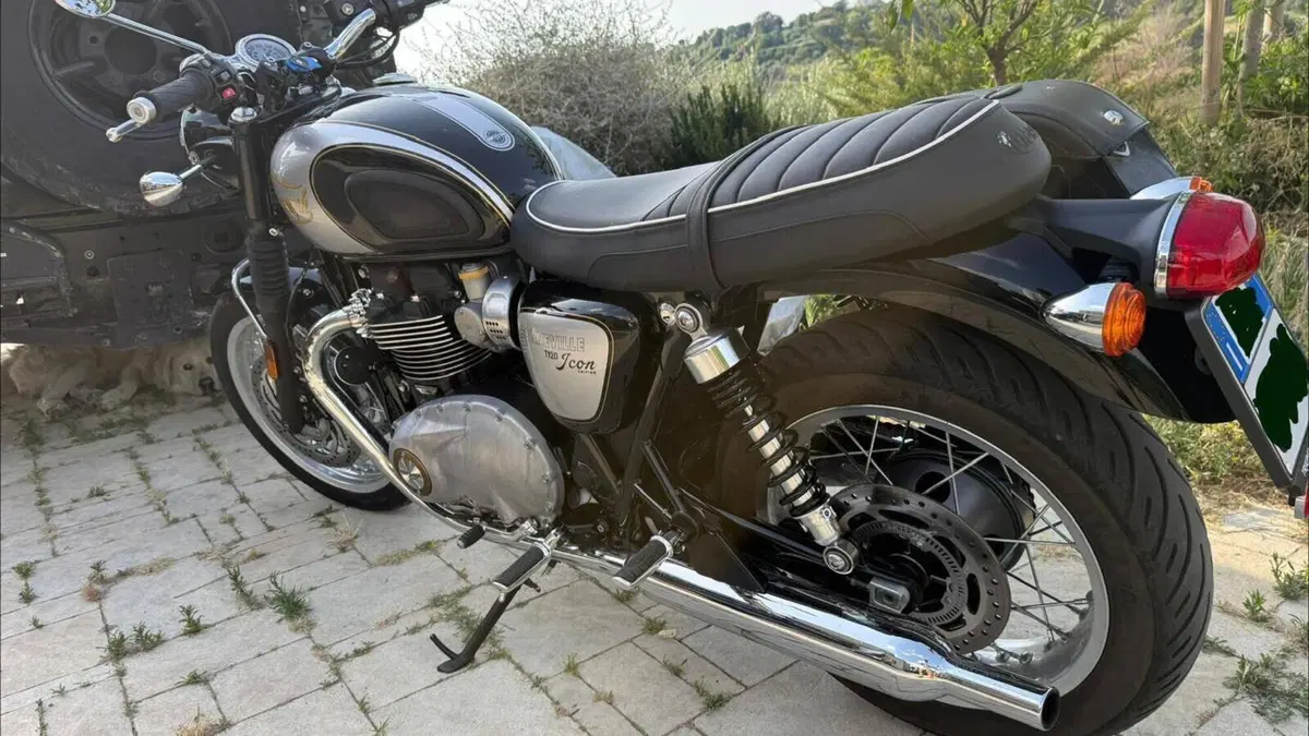 Triumph Bonneville T120 Icon Edition (2025 - 26)  (3)