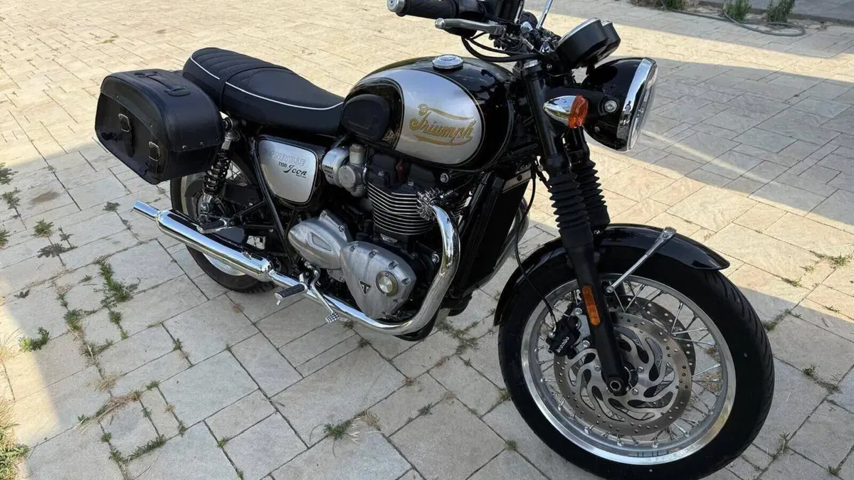 Triumph Bonneville T120 Icon Edition (2025 - 26)  (7)