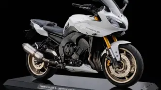 Yamaha Fazer 8 (2010 - 16) usata