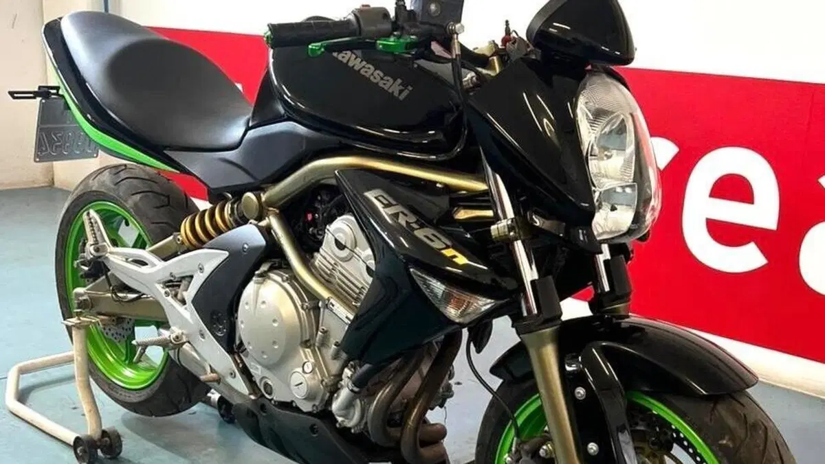 Kawasaki ER-6N (2006 - 09) 