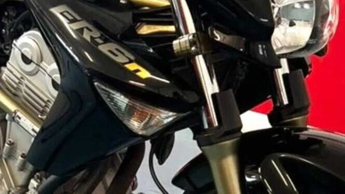 Kawasaki ER-6N (2006 - 09)  (8)