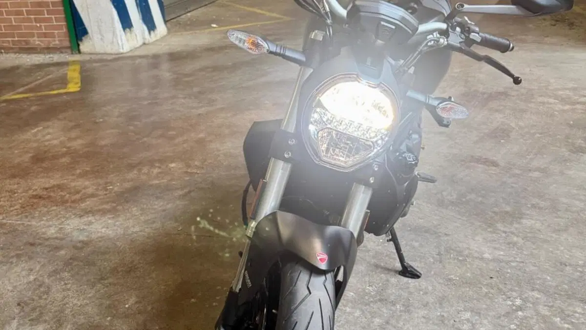 Ducati Monster 821 (2018 - 20)  (4)