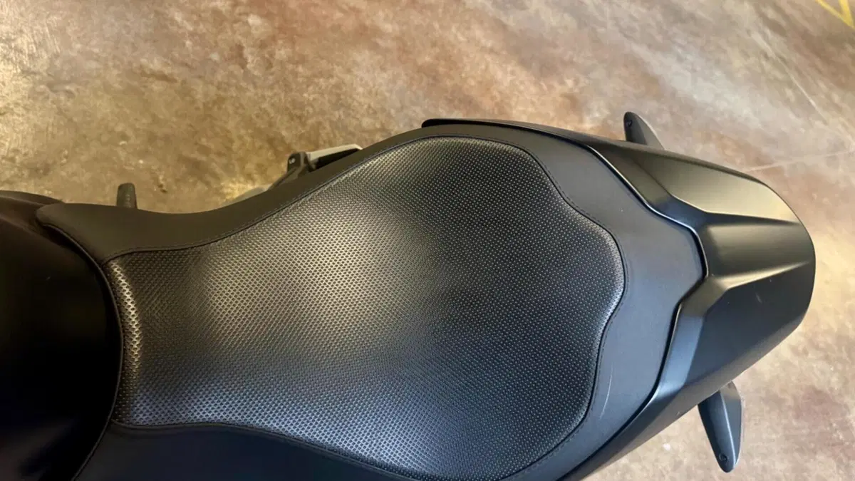 Ducati Monster 821 (2018 - 20)  (8)