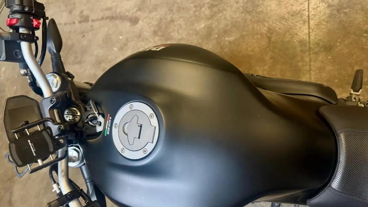 Ducati Monster 821 (2018 - 20)  (9)