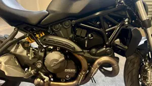 Ducati Monster 821 (2018 - 20)  (11)