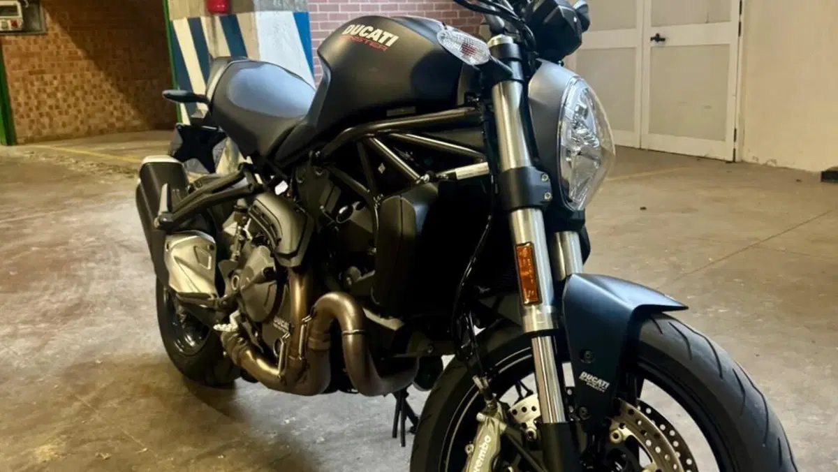 Ducati Monster 821 (2018 - 20)  (13)