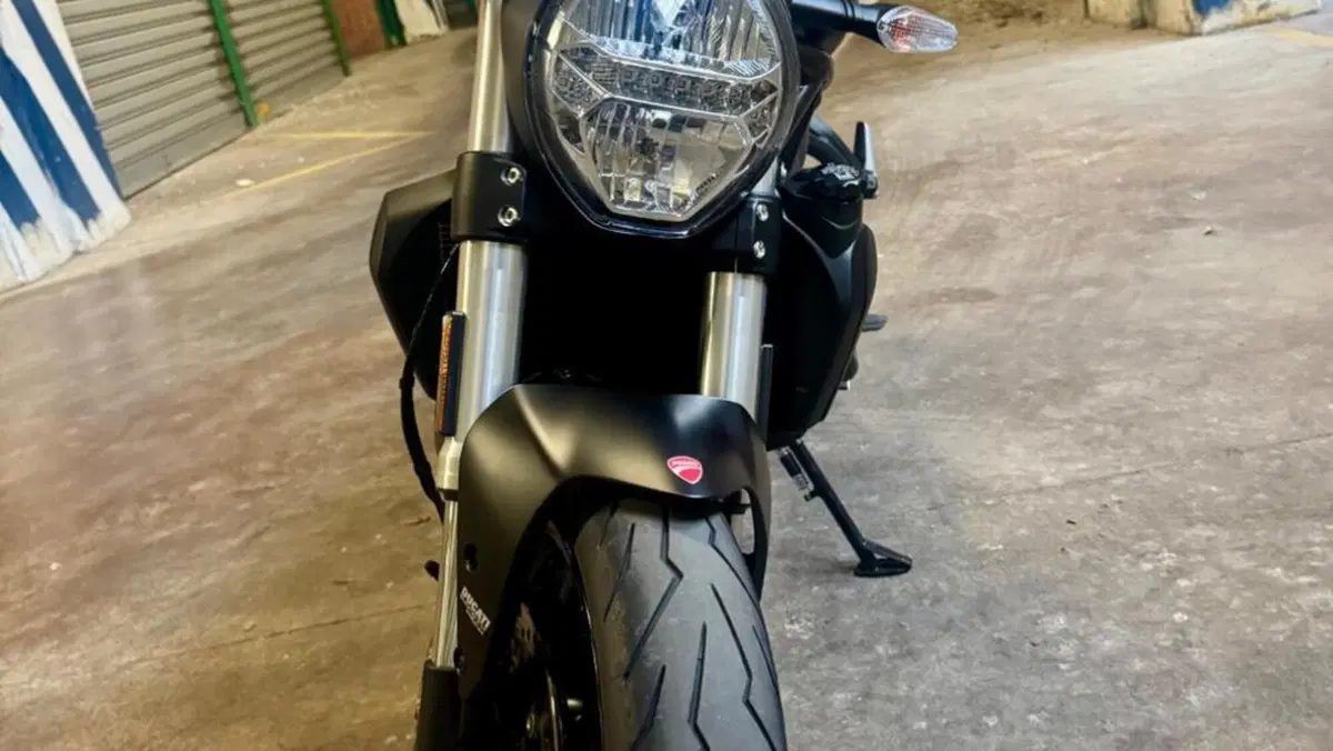 Ducati Monster 821 (2018 - 20)  (14)