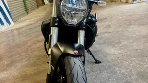Ducati Monster 821 (2018 - 20)  (14)