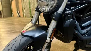 Ducati Monster 821 (2018 - 20)  (15)
