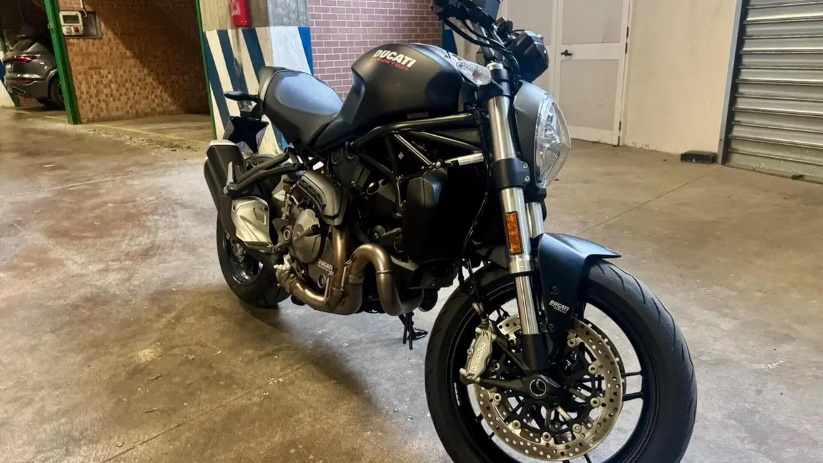 Ducati Monster 821 (2018 - 20)  (16)