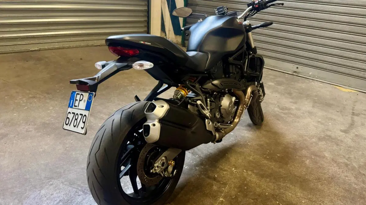 Ducati Monster 821 (2018 - 20)  (18)