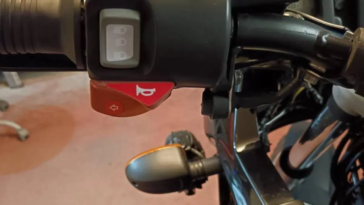 Bmw R 1150 GS (1999 - 03)  (18)