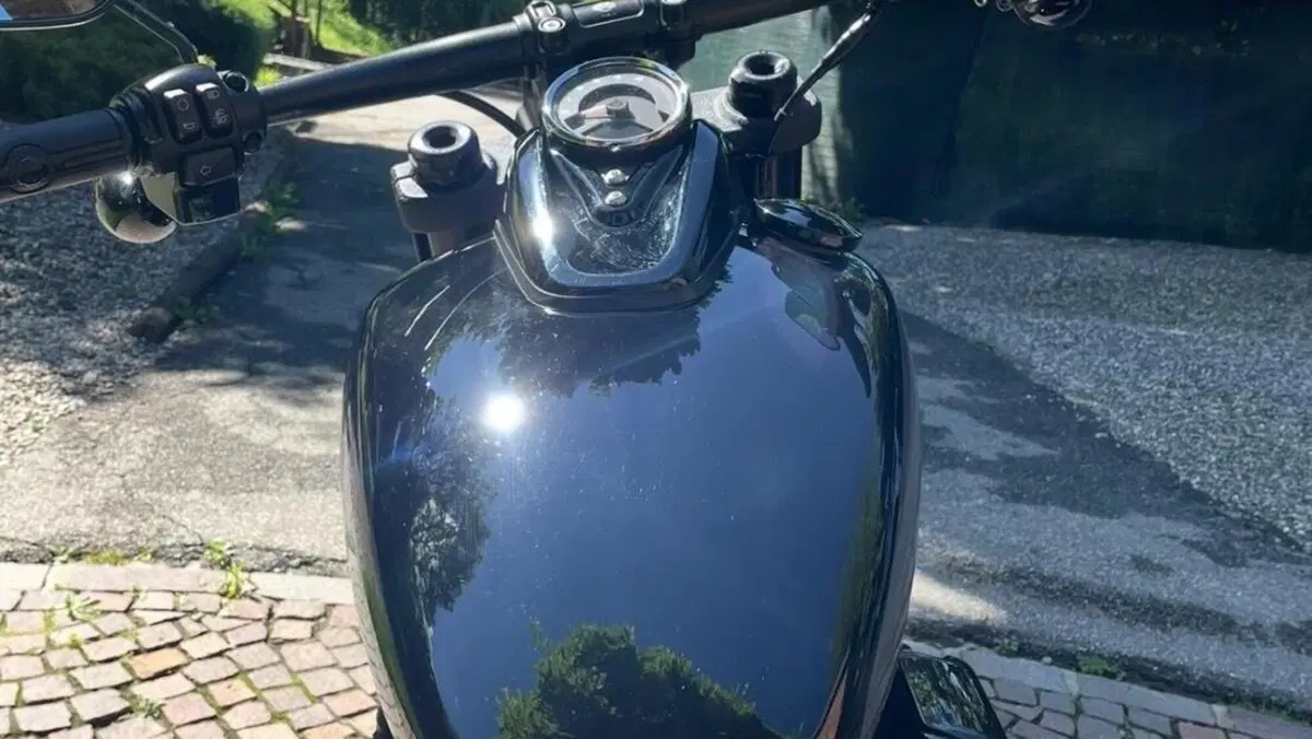 Harley-Davidson Fat Bob 114 (2021 - 25)  (5)