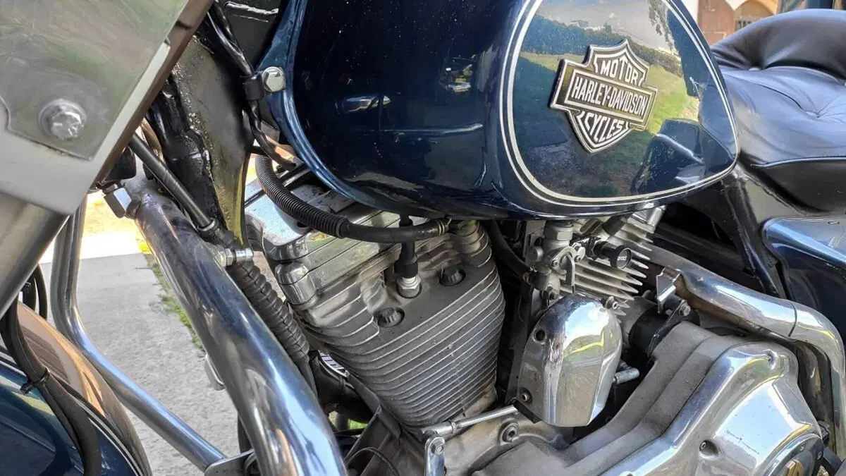 Harley-Davidson   (8)
