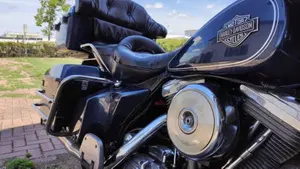 Harley-Davidson   (10)