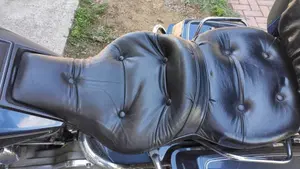 Harley-Davidson   (11)